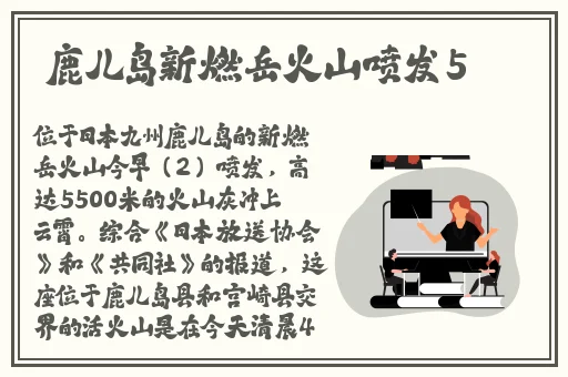蘑菇官网登陆入口